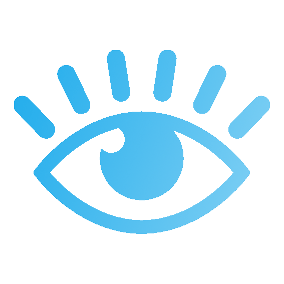 Vision